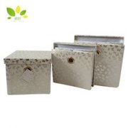 ZX16-081